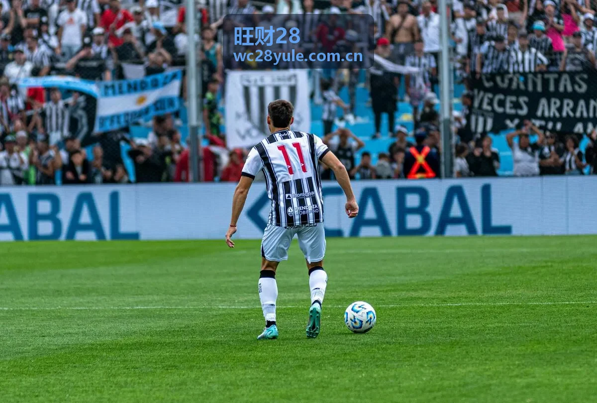 旺财28品牌故事展示